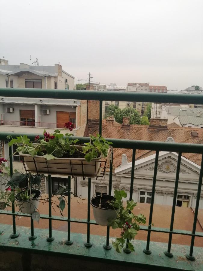 Apartman Centar Beograd المظهر الخارجي الصورة
